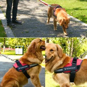 Vodítko pro psy s hrudním popruhem K9, velikost L (23-30 kg, červené) TopTechnology