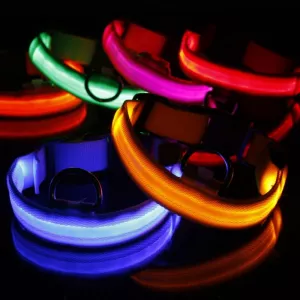 Nastavitelný LED obojek pro psy, 3 režimy, Velikost: S (Doručení náhodné barvy) TopTechnology