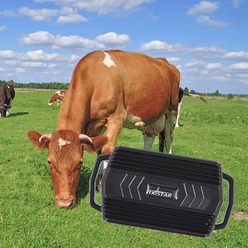 TKSTAR TK935 3000mAh GPS sledovací zařízení pro domácí mazlíčky a hospodářská zvířata, IP65, voděodolné (černé) TopTechnology