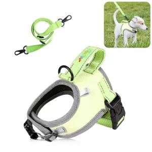 FunAdd Hrudní Popruh pro Psy, Reflexní, Nylon, Velikost S (Zelený) TopTechnology