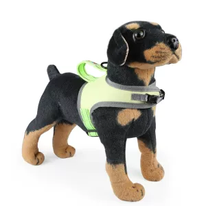 FunAdd Hrudní Popruh pro Psy, Reflexní, Nylon, Velikost S (Zelený) TopTechnology
