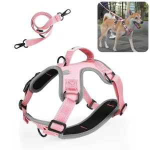 FunAdd Reflexní nylonový postroj pro psy, velikost M (růžový) TopTechnology