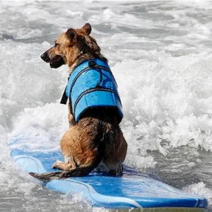 Reflexní plovací vesta pro psy Pet Saver - Velikost S (Růžové tečky) TopTechnology