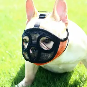 Kryt úst pro psy Bulldog - maska, černá, velikost M TopTechnology Kryt úst pro psy Bulldog - maska, černá, velikost M TopTechnology