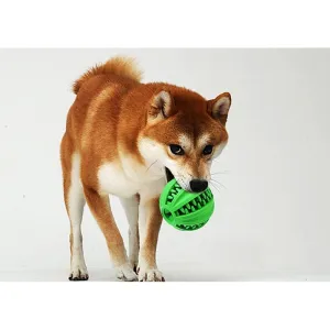 Hračka pro domácí mazlíčky - Pet Toy Cartoa Leaking Ball (Velká, Zelená) TopTechnology Hračka pro domácí mazlíčky - Pet Toy Cartoa Leaking Ball (Velká, Zelená) TopTechnology