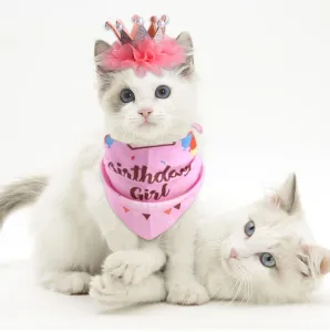 Pet Birthday Suit S Pearl Crown Hat a Trojúhelníkový Šátek - Růžová balónová TopTechnology