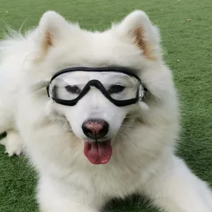 Pet Goggles - Průhledné brýle pro psy, voděodolné, větruodolné TopTechnology Pet Goggles - Průhledné brýle pro psy, voděodolné, větruodolné TopTechnology