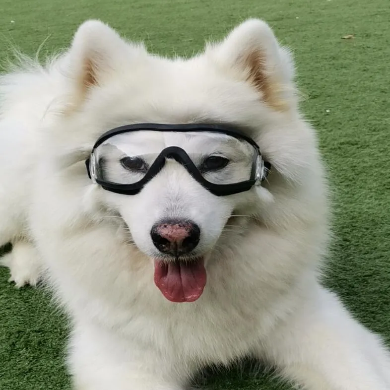 Pet Goggles - Průhledné brýle pro psy, voděodolné, větruodolné TopTechnology