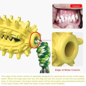 Hračka pro psy s knotem Prickly Pear - Molární tyčinka a kartáč na zuby (Žlutá) TopTechnology