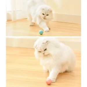 Smart Gravity Teaser Cat Rolling Ball - Odolné hračky pro kočky (Modré) TopTechnology Smart Gravity Teaser Cat Rolling Ball - Odolné hračky pro kočky (Modré) TopTechnology
