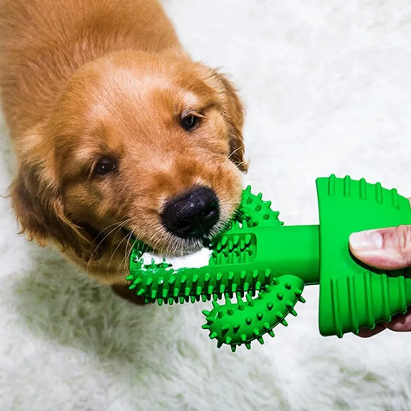 Hračka pro psy - Pet Toothbrush na čištění zubů TopTechnology