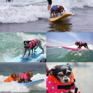 Plovací vesta pro psy s reflexními pruhy Pet Saver, velikost XS (kamufláž) TopTechnology