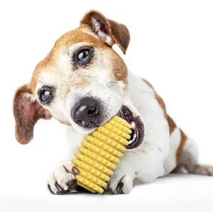 Hračky pro domácí mazlíčky - Dog Teething Stick Pet Chewing Toy TopTechnology Hračky pro domácí mazlíčky - Dog Teething Stick Pet Chewing Toy TopTechnology