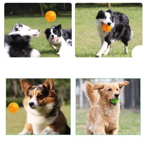 Hračky pro domácí mazlíčky: Pet Sounding Toy - Ježek míč pro velké psy, průměr 6.5cm TopTechnology