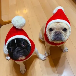 Pet Autumn & Winter Woolen Christmas Hat, vel. L TopTechnology Pet Autumn & Winter Woolen Christmas Hat, vel. L TopTechnology