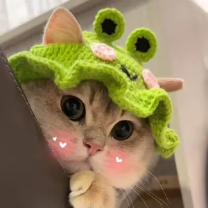 Čepice pro domácí zvířata - pletený klobouk pro kočky a psy, velikost M (Frog Hat) TopTechnology
