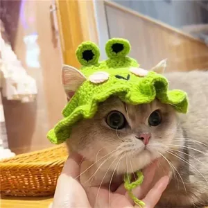 Čepice pro domácí zvířata - pletený klobouk pro kočky a psy, velikost M (Frog Hat) TopTechnology