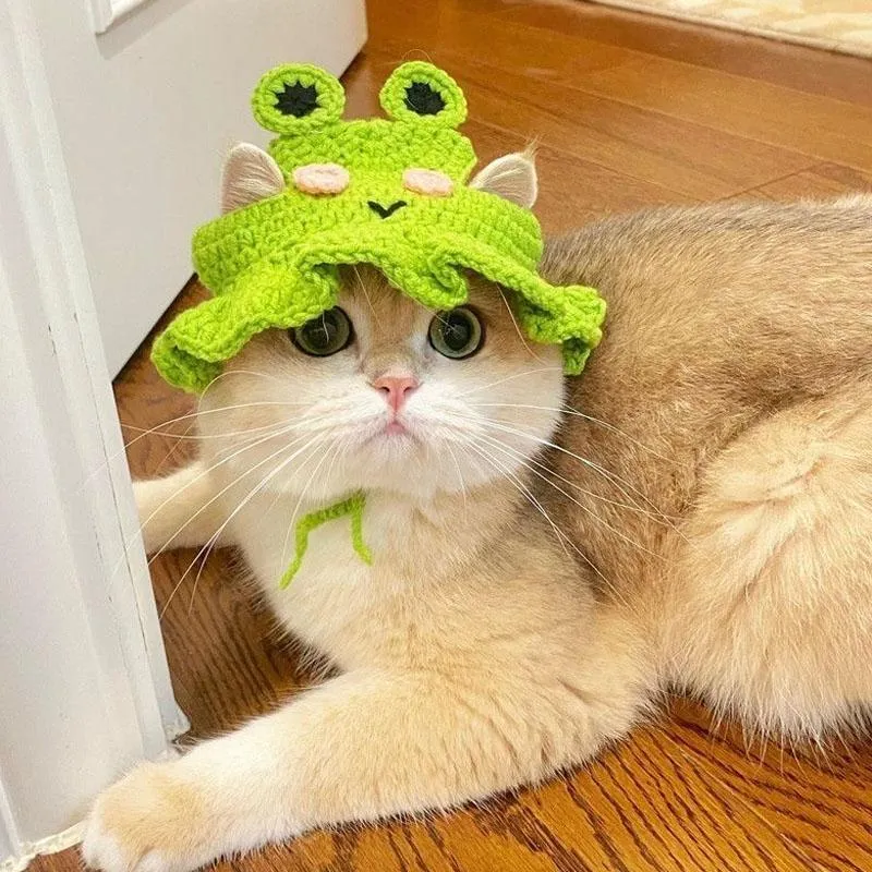 Čepice pro domácí zvířata - pletený klobouk pro kočky a psy, velikost M (Frog Hat) TopTechnology