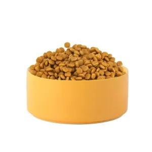Miska pro kočky a psy 15,5 cm/850 ml - keramická, žlutá TopTechnology Miska pro kočky a psy 15,5 cm/850 ml - keramická, žlutá TopTechnology