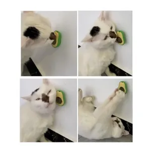 Hračky pro kočky: Catnip Balls a Avocado Teaser pro čištění zubů (Mint Ball) TopTechnology