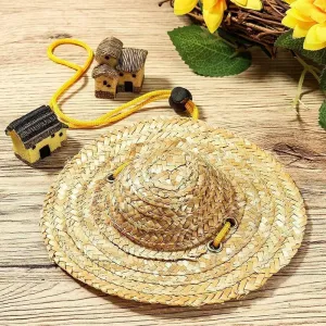Mini Pet Straw Hat pro kočky a psy - narozeninová party, sluneční clona, XL 20cm TopTechnology