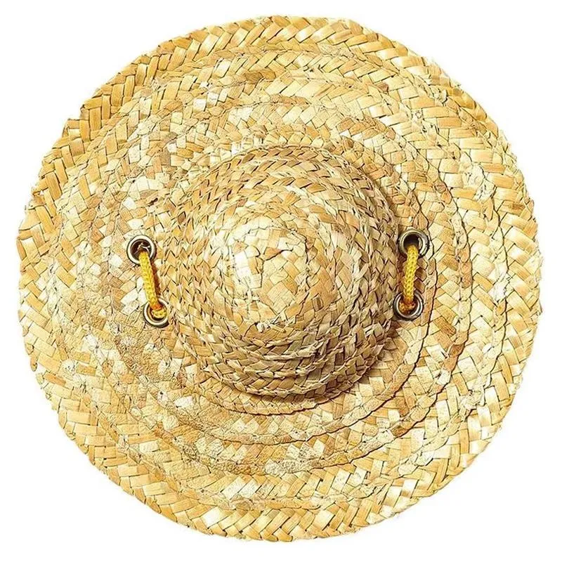 Mini Pet Straw Hat pro kočky a psy - narozeninová party, sluneční clona, XL 20cm TopTechnology