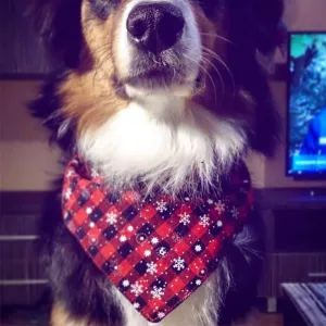 Pet Triangle Towel Vánoční Sněhová Vločka Ručník pro Psy, Velikost:L (Červená) TopTechnology Pet Triangle Towel Vánoční Sněhová Vločka Ručník pro Psy, Velikost:L (Červená) TopTechnology